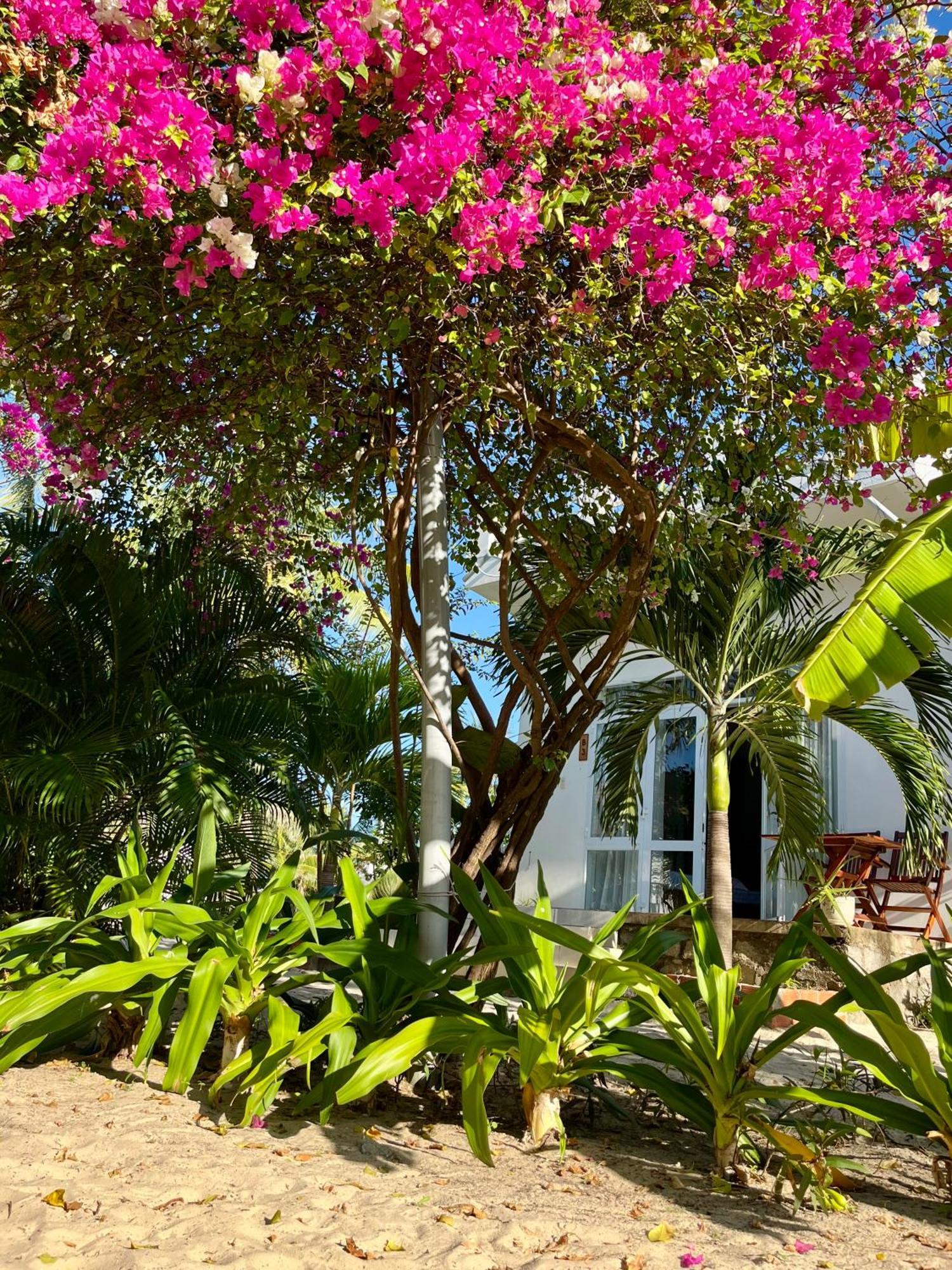Robinson Beach Bungalow Vinh Hoa Exterior photo